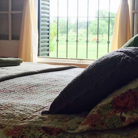 مبيت وإفطار بيلار The Polo House المظهر الخارجي الصورة